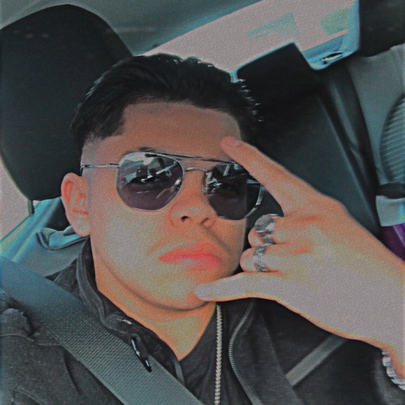 Meet your Posher, Oscar - Picture 1 of 1